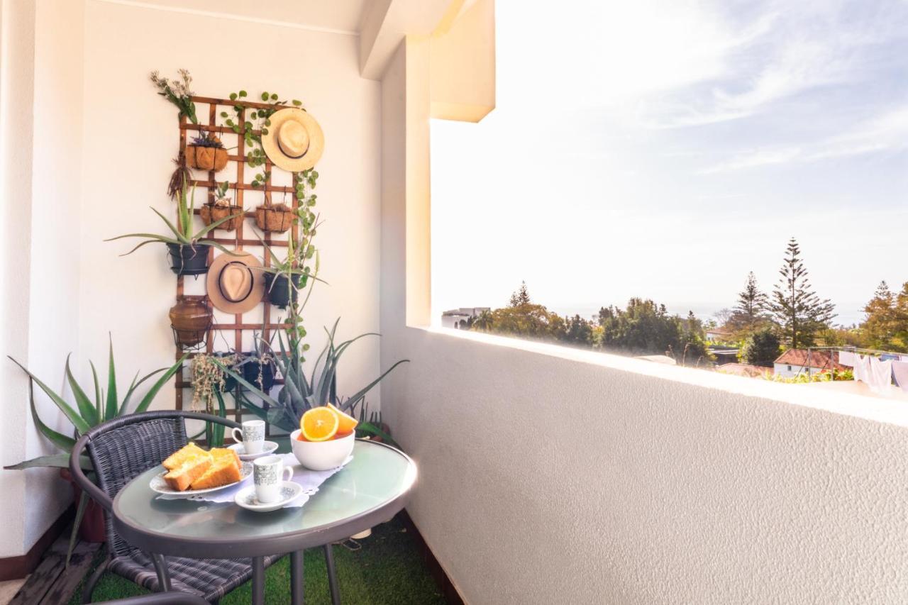 Maria Casa Branca By Alma Holiday Rentals Funchal  Zewnętrze zdjęcie